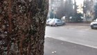 Moto Z Play primjer fotografije slika kamera (1).jpg